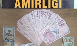 Aydın'da kumar oynarken yakalanan 8 kişiye 28 bin TL ceza