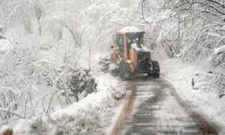 Doğu Karadeniz de kar yağışına teslim! 367 köy yolu ulaşıma kapandı