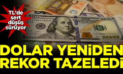Türk Lirası düşüşünü sürdürürken, Dolar yeni rekor tazeledi