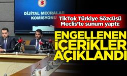 TikTok Türkiye Sözcüsü Meclis’te sunum yaptı