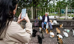 Emekli maaşını, sokaktaki 800 kediyi beslemeye harcıyor