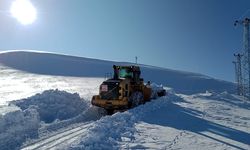Hakkari'de, 22 yerleşim yerinin yolu kardan kapandı