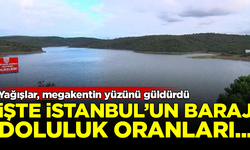 Yağışlar İstanbul'un yüzünü güldürdü! İşte güncel baraj doluluk oranları