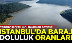 İSKİ rakamları paylaştı! İşte İstanbul barajlarının doluluk oranları