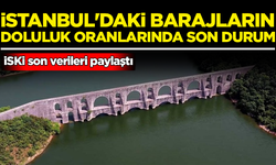 İstanbul'un barajlarının doluluk oranlarında son durum