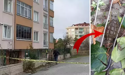 İstanbul'da el bombası alarmı! Apartmanın önünde bulundu