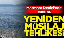 Marmara Denizi'nde ısınma: Müsilaj tehlikesi