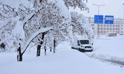 Bitlis'te, 266 köy yolu kardan kapandı