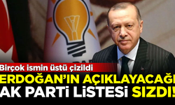Erdoğan'ın açıklayacağı aday listesi sızdı! Birçok ismin üstü çizildi