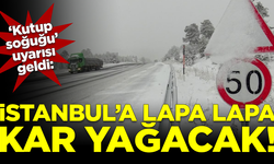 Meteoroloji uzmanlarından 'kutup soğuğu' uyarısı! İstanbul'a lapa lapa kar yağacak