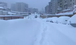 Hakkari'de kar esareti! 355 köy ve mezra yolu ulaşıma kapandı