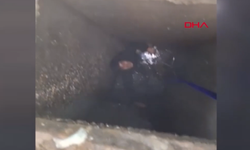 Şanlıurfa'da 3 metre derinliğindeki rögara düşen çocuk kurtarıldı