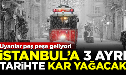 Uyarılar peş peşe geliyor! İstanbul'a 3 ayrı tarihte kar yağacak