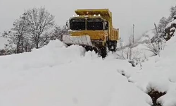 Kar Elazığ'ı vurdu! 129 köy yolu ulaşıma kapandı