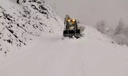 Diyarbakır'da kardan kapanan 22 mahalle yolu yeniden ulaşıma açıldı