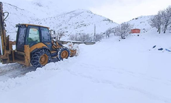 Batman'da 7 köy ile 23 mezra yolu, kar nedeniyle kapandı