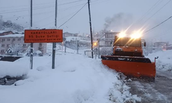 Beytüşşebap'ta yoğun kar yağışı nedeniyle 20 köy yolu ulaşıma kapandı