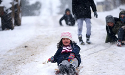 Şırnak'ın 2 ilçesinde eğitime kar engeli! Valilik açıklama yaptı