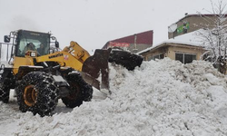 Bingöl Karlıova'da kardan kapanan 30 köy yolu, tekrar ulaşıma açıldı