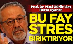 Prof. Dr. Naci Görür'den Bursa uyarısı: Stres biriktiriyor