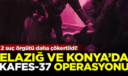 Elazığ ve Konya'da Kafes-37 operasyonu! 2 suç örgütü daha çökertildi