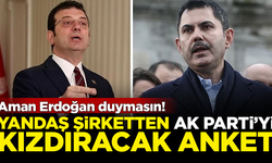 Yandaş şirketten AK Parti'yi kızdıracak anket! Aman Erdoğan duymasın