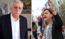 Ahmet Türk'ten CHP'li Burcu Köksal'ın DEM Parti çıkışına yanıt