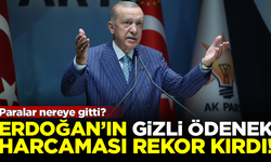 Erdoğan'ın gizli ödenek harcaması rekor kırdı! Paralar nereye gitti?
