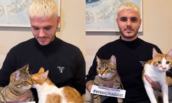 Mauro Icardi'den kedi Eros için 'adalet' çağrısı