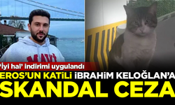 Kedi Eros'un katili cani İbrahim Keloğlan'a skandal ceza! İyi hal indirimi uygulandı