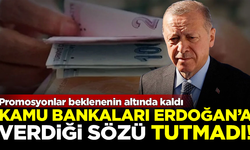 Kamu bankaları, Erdoğan'a verdiği sözü tutmadı! Promosyonlar düşük kaldı