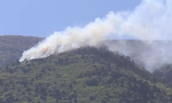 Bursa'da orman yangını! Ekipler yangına müdahale ediyor