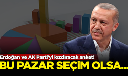 Erdoğan ve AK Parti'yi kızdıracak anket! Bu Pazar seçim olsa...