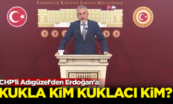 CHP'li Adıgüzel'den Erdoğan'a: Kukla kim kuklacı kim?