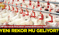 CHP'den tavuk ihracatının sınırlandırılmasına tepki