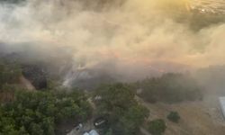 Antalya ve Muğla'da orman yangınlarında 6 hektar alan zarar gördü