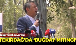 CHP, Tekirdağ'da 'Buğday Mitingi' düzenleyecek