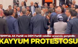 DEM Parti'den TBMM Genel Kurulu'nda "Hakkari'ye kayyum" protestosu