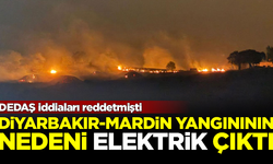 DEDAŞ reddetmişti... Diyarbakır-Mardin yangının nedeni elektrik çıktı