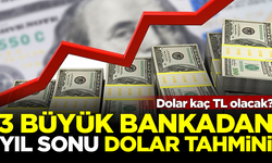 Dünyaca ünlü 3 bankadan Dolar/TL tahmini! Dolar kaç TL olacak?