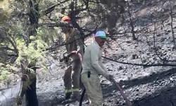 İzmir ve Manisa'da ilk 6 ay içinde 45 orman ve kırsal yangını çıktı