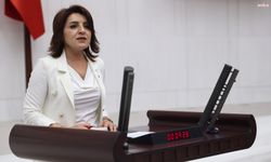 Gülcan Kış'tan Mersin Aydıncık'a kurulması planlanan balık çiftliği projesine tepki