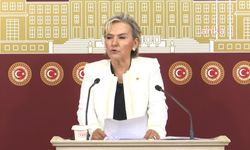 İYİ Parti'de İstanbul Milletvekili istifa etti