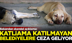 Bakandan skandal açıklama! 'Katliam'a uymayan belediyelere ceza verilecek