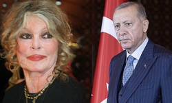 Dünyaca ünlü oyuncu Brigitte Bardot'tan Erdoğan'a 'sokak hayvanları' çağrısı