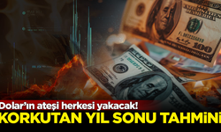 Doların ateşi herkesi yakacak! Ünlü ekonomistten korkutan tahmin