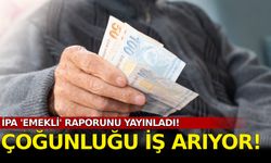 İPA 'emekli' raporu yayınladı! Çoğunluğu iş arıyor...