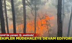 İzmir'de yangın 18. saatinde! Müdehale sürüyor...