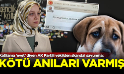 Hayvan katliamına 'Evet' diyen AK Partili vekilden skandal savunma! Kötü anıları varmış