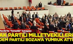 Meclis'te "hırsızlık" kavgası: AK Partili milletvekilleri DEM Partili Bozan'a yumruk attı